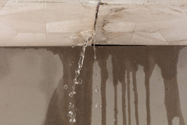 Professional Burst Pipe Cleanup technician working in Springfield, SD